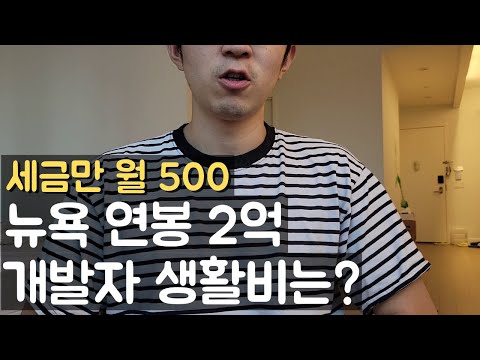 뉴욕에서 20대에 2억 벌면 어디에 돈을 쓸까 미국 개발자 생활 수준 