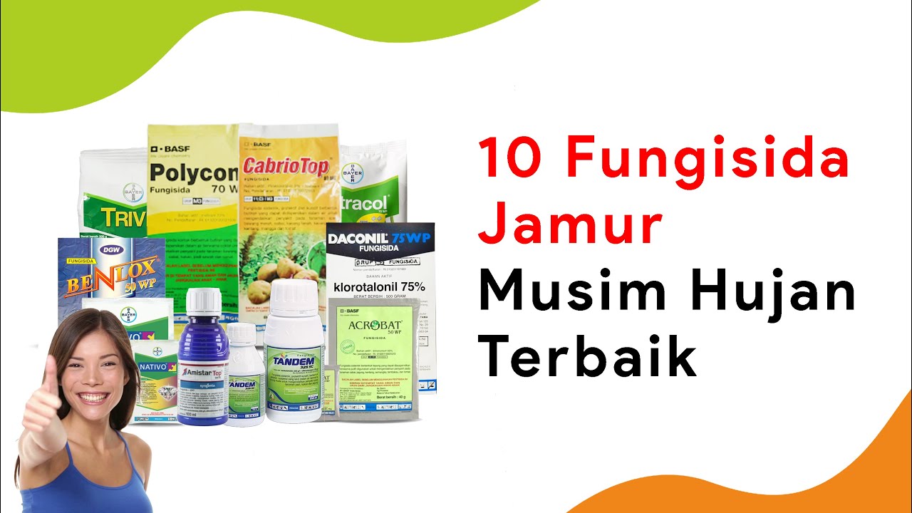 10 Fungisida Atasi 3 Jamur Cabe Sekaligus, Senjata Musim Hujan