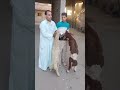 مش معقول ال30 دكر بــــ 4500تلاف الناس تخلي بالها اليومين دول 01552482982 01116932249 مش معقول ال30 دكر بــــ 4500تلاف الناس تخلي بالها اليومين دول 01552482982 01116932249