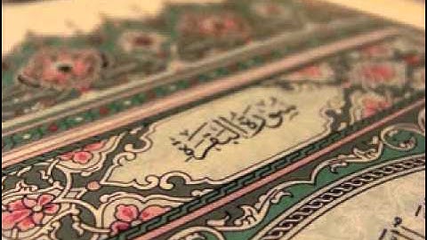 الشيخ وليد الدليمي من سورة البقرة