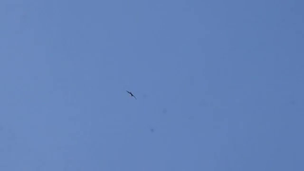 Krishna Parundhu at Nurani Sasthapreethi 2015 - 16