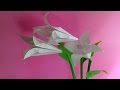 Origami Lily flower and leaves 3D 折り紙 ユリの花と葉 立体 簡単な折り方
