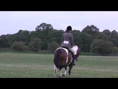 Biscuit at the grass sickness show 2011