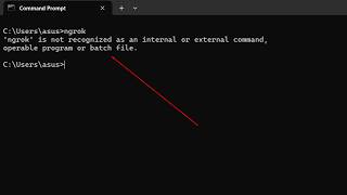 How to Fix 'ngrok' is not recognized as an internal or external command Error
