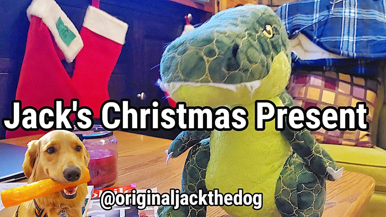Jack The Dog's Christmas Toy. originaljackthedog YouTube