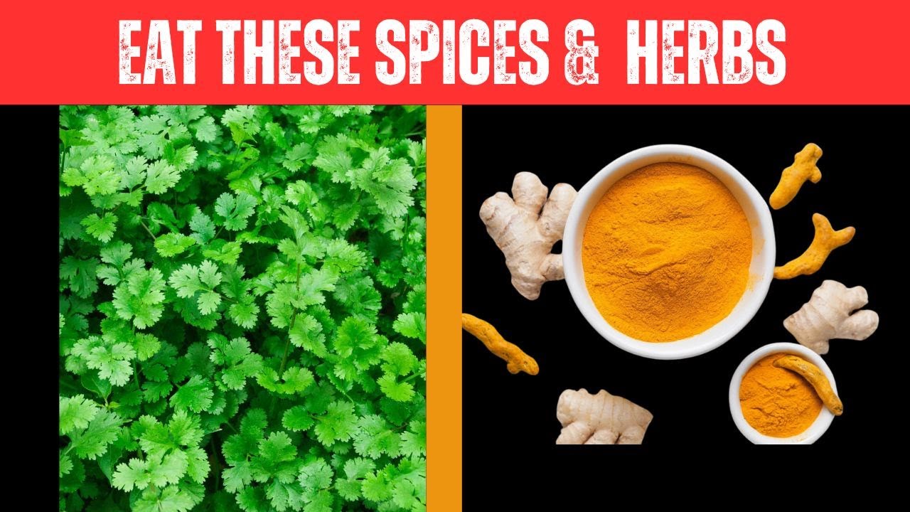11 World's POWERFUL Spices & Herbs You Should Be Eating DAILY - YouTube