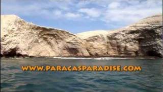 Paracas Paradise - Islas Ballestas