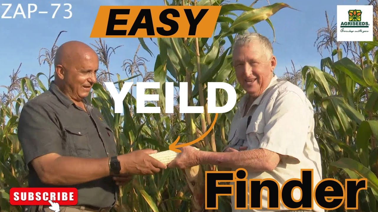 Simple Way to Calculate Yield per Hectare