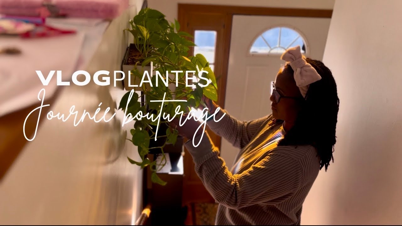 Une journée de bouturage | VLOG Plantes 🌱