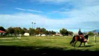 11th ACR horse detachment performance (Gibbel park Veterans day 2011)