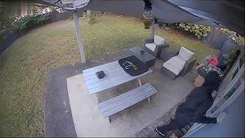 Homeowner Catches Burglar On Ring Camera And Speaks To Him - Dashcam CCTV Videos