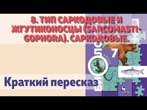 8. Тип Саркодовые и жгутиконосцы. Саркодовые. Биология 7 класс - Константинов. Краткий пересказ.