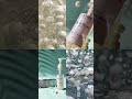 IT'S FINALLY HERE!🎉 Suroskie Glutaboost Cleanser is Live Now!💖#suroskie #brightening #cleanser #yt