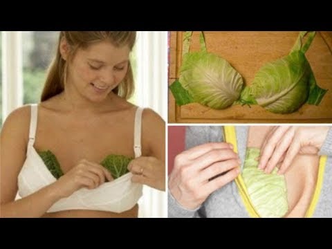 Video: Verwendung Von Kohlblättern Zum Absetzen, Mastitis, Engorgement, Mehr