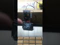 AM82-mini camera TFT demo #shorts