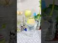 How to Regrow Daikon Radish Hydroponically from Kitchen Scraps Plastic Bottle Recycling Hack