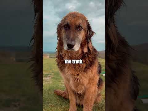 They Thought She Was Feral