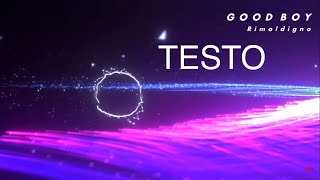 Download Lagu GOOD BOY @Rimoldigno  TESTO | LYRICS MP3
