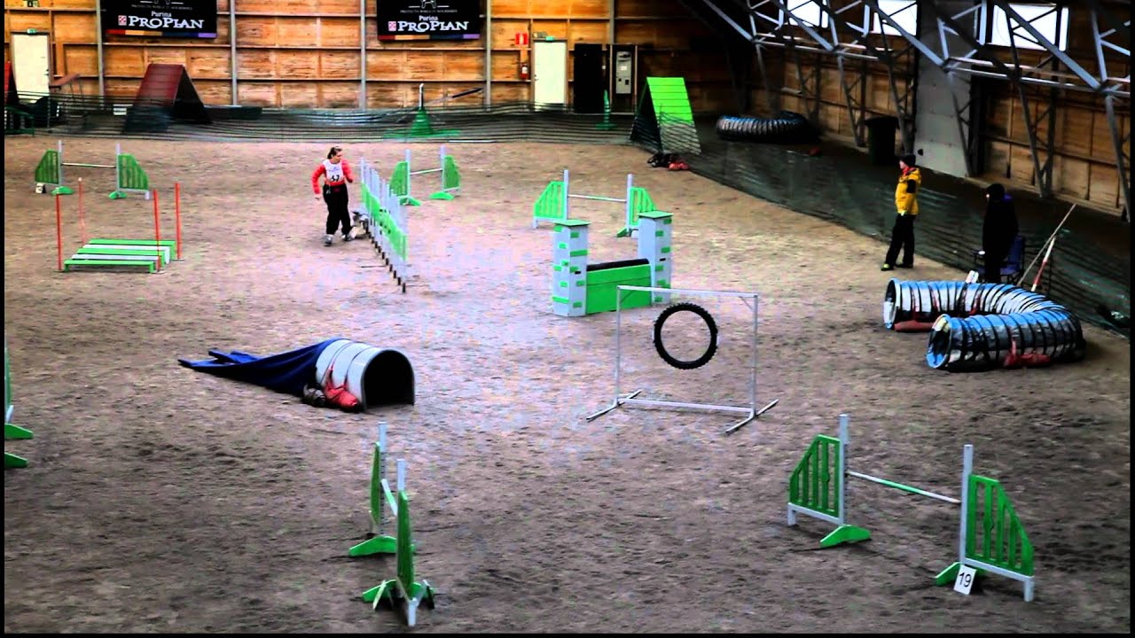 Parcol Hugo, maxi 3 @ Purina Arena agility 27.11.2011 - YouTube