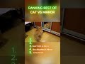 Ranking Cat Vs Mirror Moments!