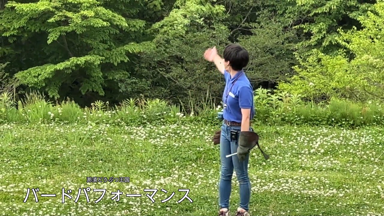 番外編 　バードパフォーマンス【2023‎年‎5‎月‎22‎日】【那須どうぶつ王国】