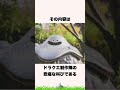 絶対に触れてはいけないドラクエ界のタブー【ドラクエ解説】