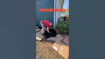 Zelfgemaakte Franse afvoer - Goedkoop en gemakkelijk #achtertuin #huis #shorts