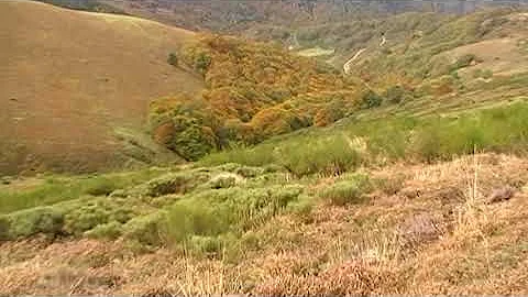 Ouverture Perdrix Grises de Montagne 1/10/2017