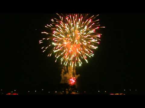 2010 土浦全国花火競技大会 No.28 田熊火工 「蝶の舞う花園」