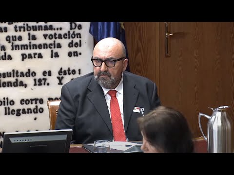 En directo: Koldo García comparece en la comisión parlamentaria del Senado