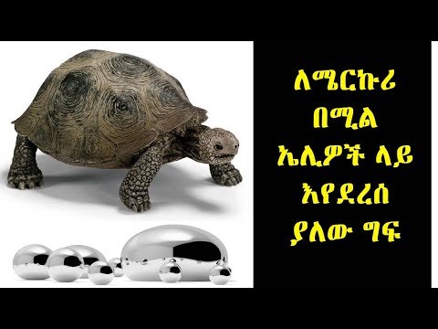 ቪዲዮ: ለሜርኩሪ ለመፈተሽ 3 መንገዶች