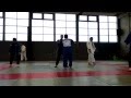 Japanese judo training ii