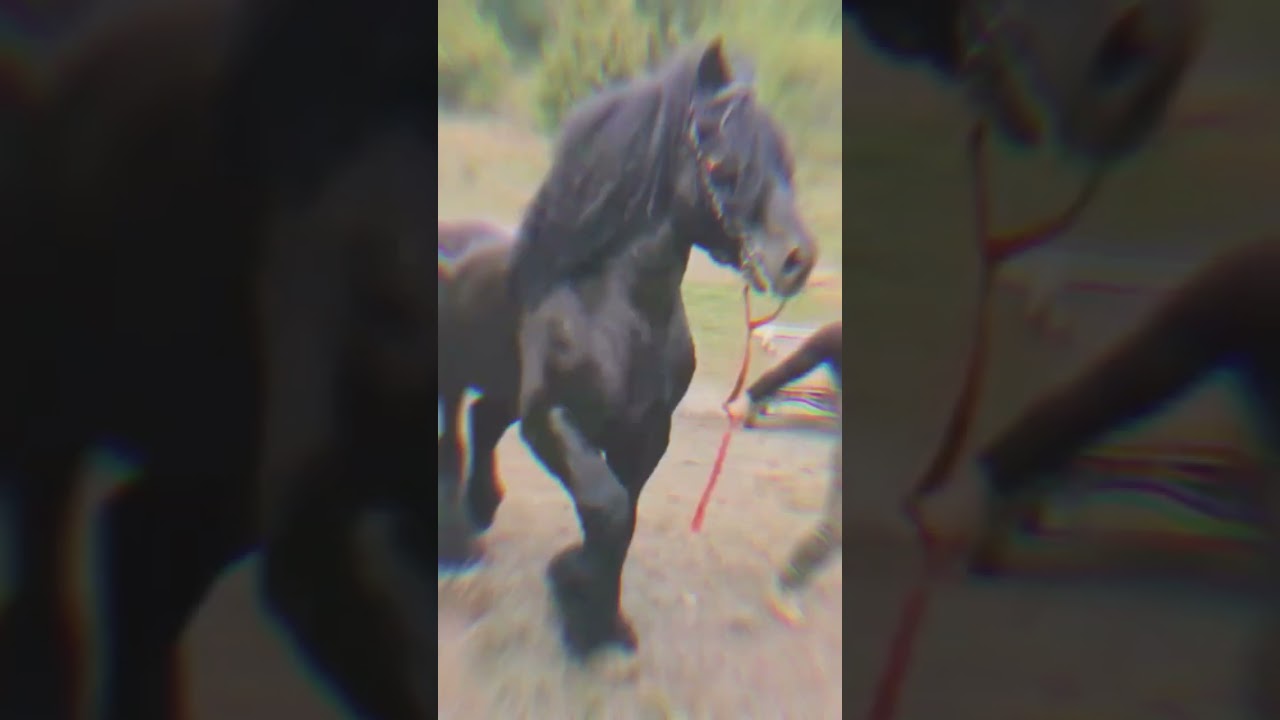 Follow me on Spotify🎹, Apple Music🎵 и Яндекс Музыке🎷