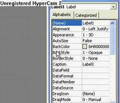 Visual basic 6 tutorial IP Checker