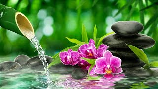 Beautiful Relaxing Piano ★ Deep Sleeping Music - Water Sound, Meditation Music