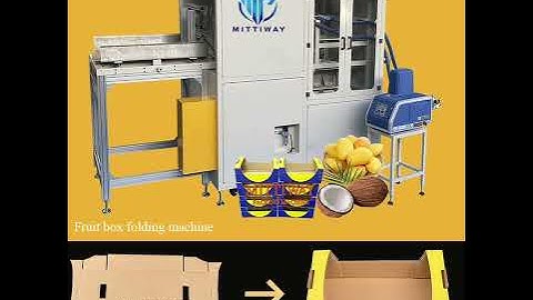 Fruit box folding tray forming machine Mittiway factory wholesale tray erector box former machine