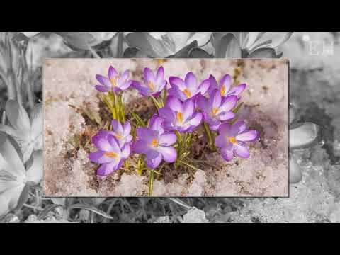 Сезонные явления в природе