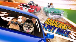 Amazing Pet Race | Full Movie | Justin Bott | Jason Cannon | Bob Charters