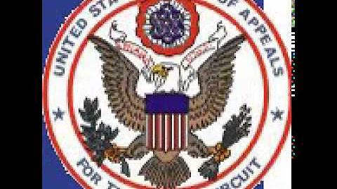 12-1617 Tammy Fontenot v. Taser International, Inc...