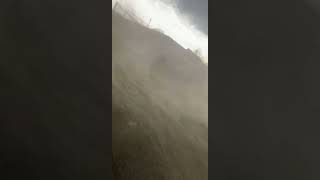 Wind Storm Blows Apart Shed Baseball Players Run For Safety