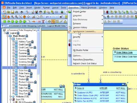 Using Object Commenting In Data Modeling | ER/Studio 8.5