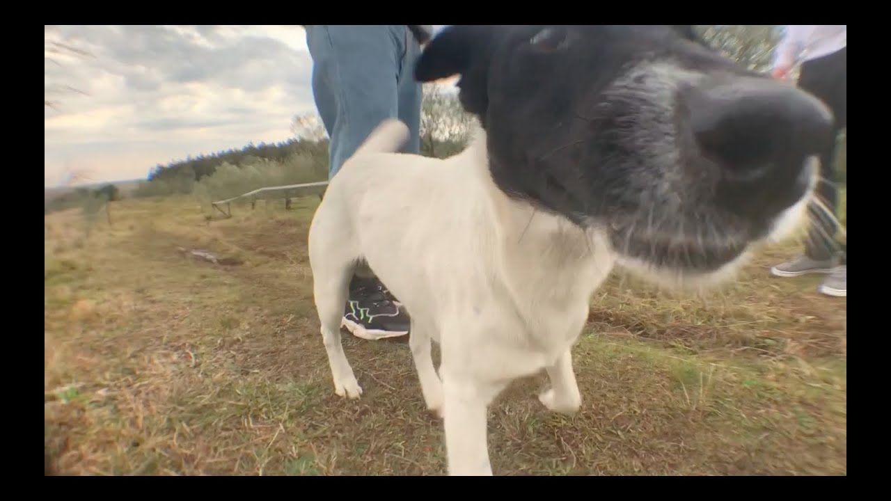 Silvia Ana - En Movimiento (Video Oficial)