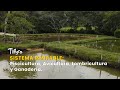 Sistema Rentable: Piscicultura, Avicultura, Lombricultura y Ganadería- TvAgro por Juan Gonzalo Angel