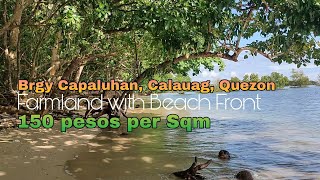 HINDI NA AVAILABLE ‼️Lot #24 | Farmland w/ Beachfront @Calauag,Quezon Minimum cut of 1 Hectare