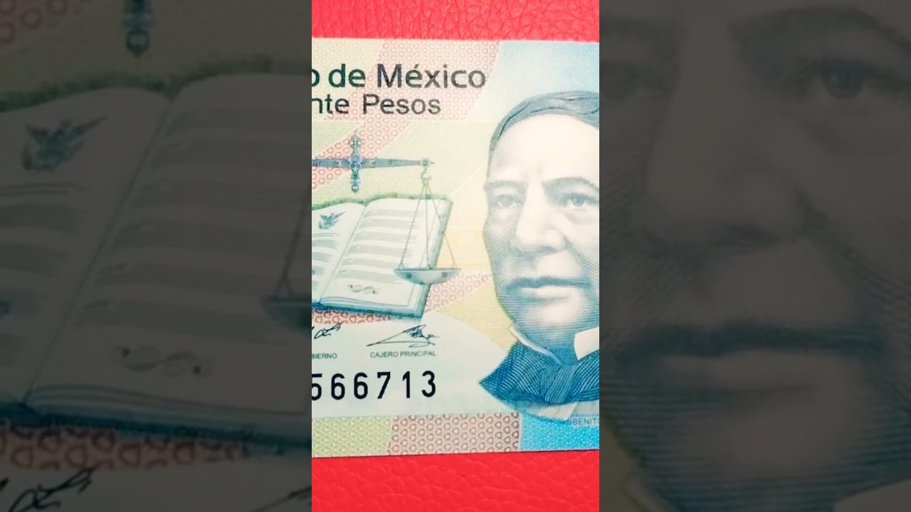 🛑¿Que es la NOTAFILIA?💵 