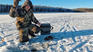 ПОДГЛЯДЕЛ У ДРУГА МОРМЫШКУ И НАЧАЛ ЛОВИТЬ... РЫБАЛКА НА БЕЗМОТЫЛКУ