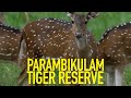 Parambikulam tiger reserve recaptureearth keralatourism trip