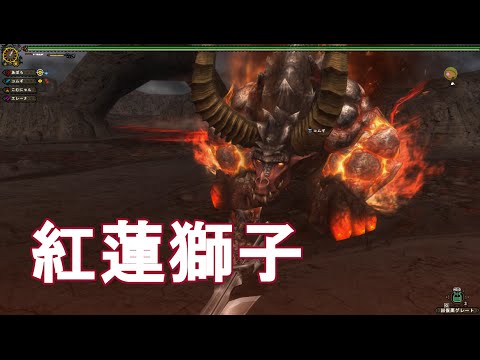 MHF-G】紅蓮獅子ヴォージャンの観察【始種】【モンハン実況