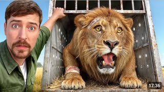 I Saved 1000 Animals Rescue From Dying 10M Views