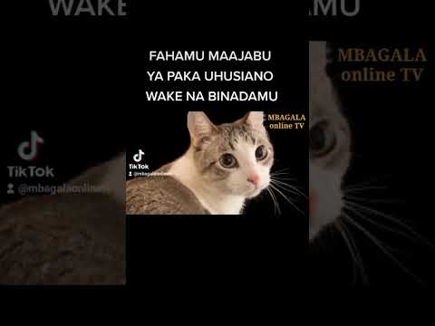 MAAJABU YA MNYAMA PAKA